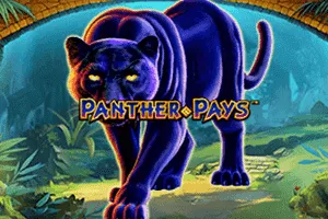 Panther Pays - TURBOBET168