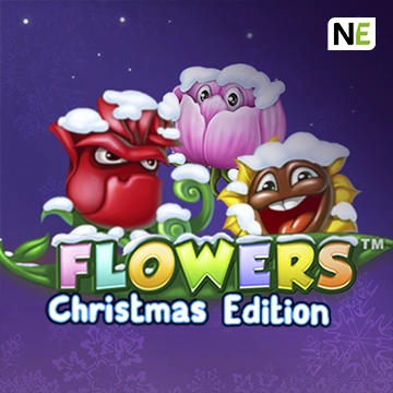 Flowers Christmas Edition - TURBOBET168
