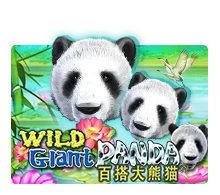 Joker123 : Wild Giant Panda - TURBOBET168