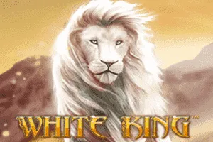 White King - TURBOBET168