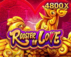 Rooster In Love - TURBOBET168