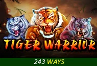 Tiger Warrior - TURBOBET168
