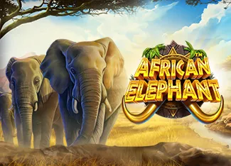 Pragmatic : African Elephant - TURBOBET168